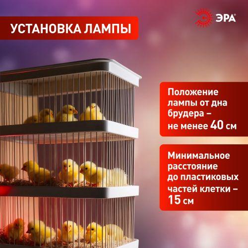 Б0059885 Излучатель тепловой (лампа инфракрасная) FITO-200W-НQ CeramiHeat RX 200Вт E27 для брудера/рептилий не дает света керамическая Эра 