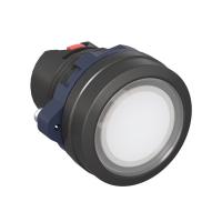 M22P-FLLWP