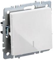 BR-V10-1-10-K01