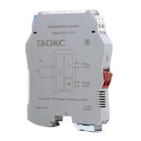DSI-C1-1110