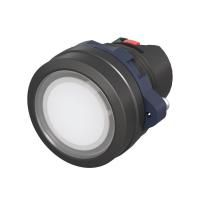 M22P-FMLWP