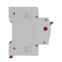 MSD-2P63