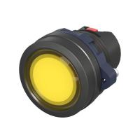 M22P-FMLYP