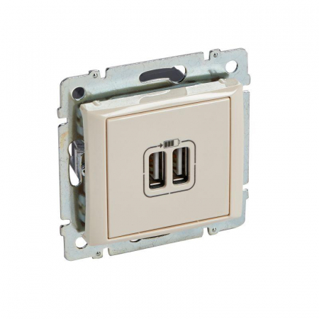 774170 Розетка USB 2-м СП Valena сл. кость Leg 