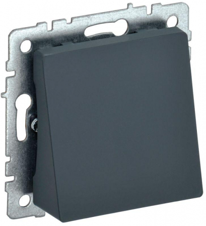 BR-VK10-0-K53 Вывод кабеля BRITE МВ10-БрГ механизм графит IEK 