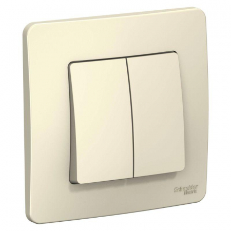 BLNVS010502 Выключатель 2-кл. СП Blanca 10А IP20 (сх. 5) 250В молочн. SE 