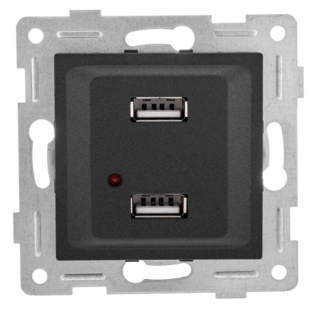 С11USB2-010 Розетка USB 2-м СП Ugra механизм графит GUSI 