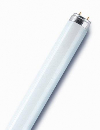 4058075693050 Лампа люминесцентная L 18W/830 LUMILUX 18Вт T8 3000К G13 смол. OSRAM 