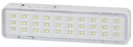 Б0044394 Светильник светодиодный DBA-101-0-20 30LED 5ч IP20 аварийный непостоянный Эра 