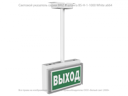 a19462 Оповещатель пожарный световой BS-BRIZ-10-F1-24 Белый свет 
