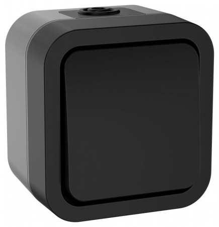 TS-V14-0-10-55-K53 Выключатель кнопочный 1-кл. ОП TORS TS110 10А IP55 графит IEK 